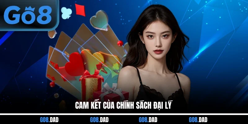 Cam kết của chính sách đại lý